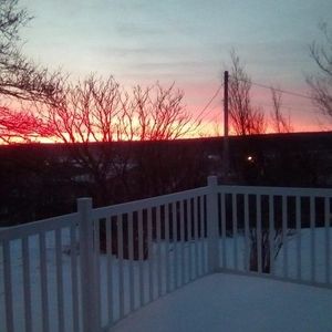 Meet your Posher, Bessie